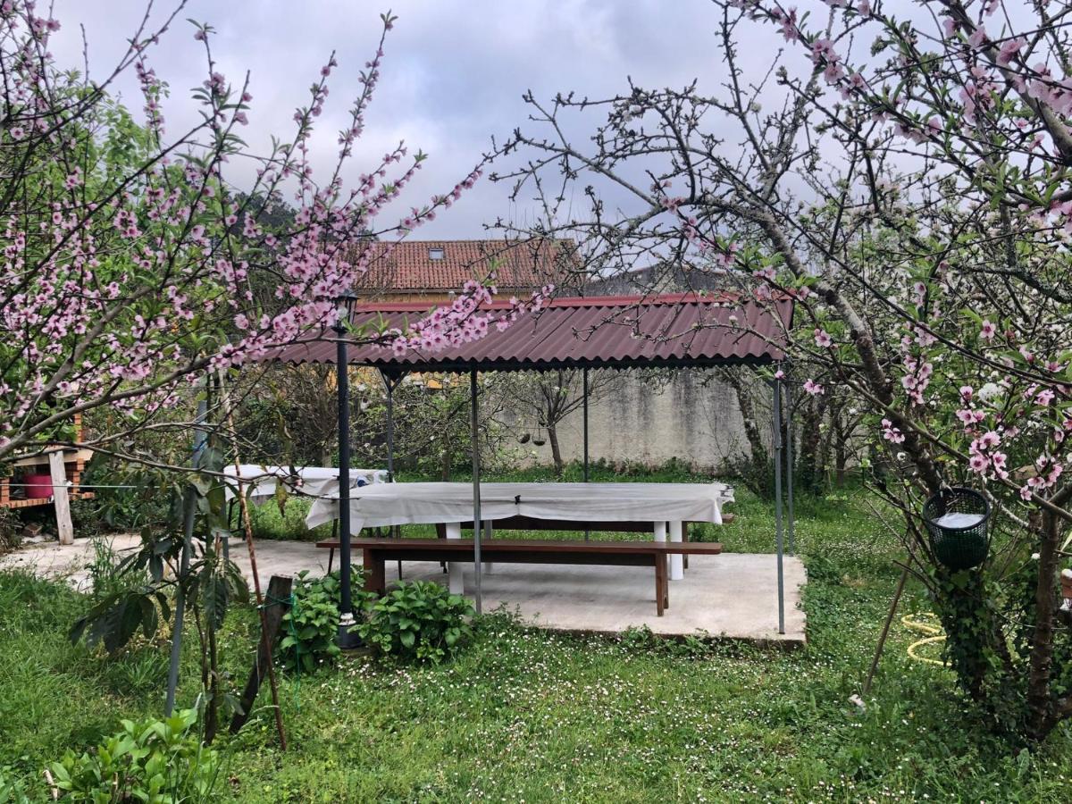 Casa Divina Appartamento *