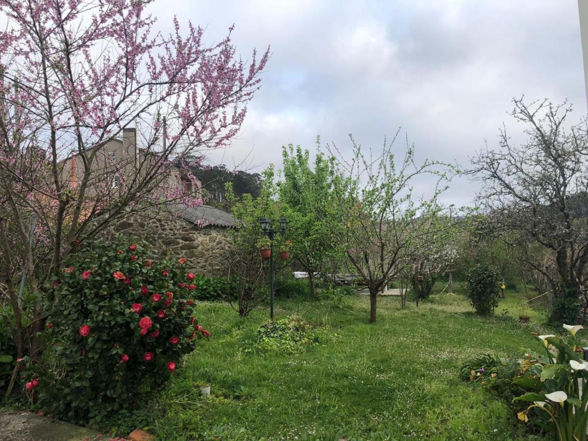 Casa Divina Appartamento *